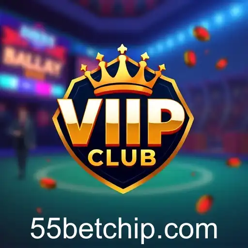 Exploring the 'VIP Program' Category with 55bet: Exclusive Features and Benefits